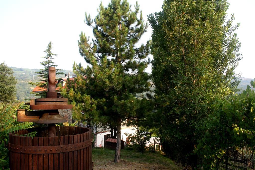 Cascina Ciosse B&B Grognardo Zewnętrze zdjęcie