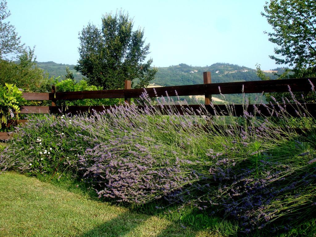 Cascina Ciosse B&B Grognardo Pokój zdjęcie
